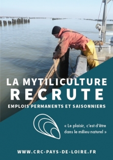 Affiche : la mytiliculture recrute